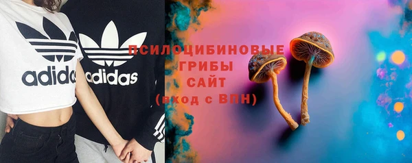 соль ск Алексеевка