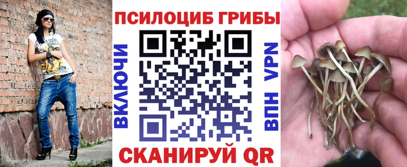 Галлюциногенные грибы мухоморы  Алзамай 