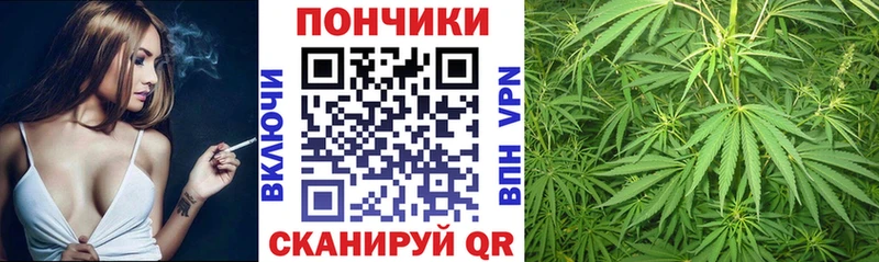 Каннабис индика  Алзамай 